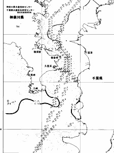 東京湾口海況図(2024/06/02)