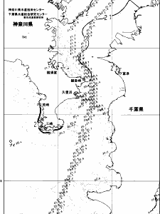東京湾口海況図(2024/06/03)