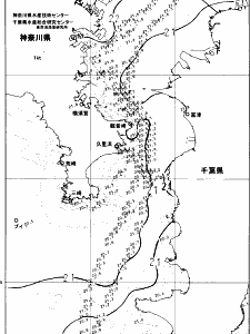 東京湾口海況図(2024/06/04)