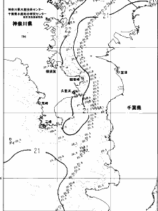 東京湾口海況図(2024/06/05)