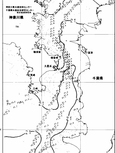 東京湾口海況図(2024/06/06)
