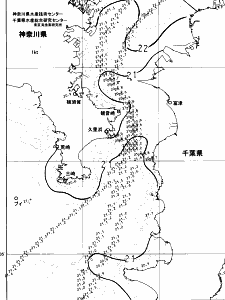 東京湾口海況図(2024/06/08)