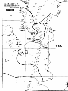 東京湾口海況図(2024/06/11)