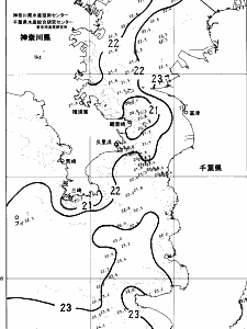 東京湾口海況図(2024/06/12)