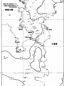 東京湾口海況図(2024/06/13)