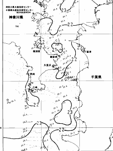 東京湾口海況図(2024/06/14)