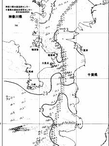 東京湾口海況図(2024/06/18)