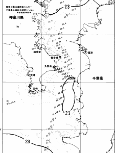 東京湾口海況図(2024/06/19)