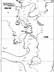 東京湾口海況図(2024/06/20)