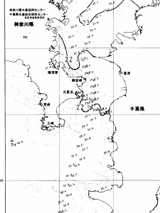 東京湾口海況図(2024/06/22)