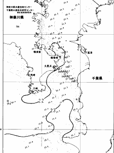 東京湾口海況図(2024/06/24)