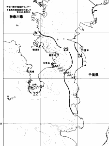東京湾口海況図(2024/06/26)
