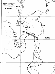 東京湾口海況図(2024/06/29)
