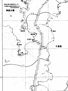 東京湾口海況図(2024/06/30)
