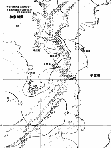 東京湾口海況図(2024/08/05)