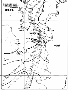 東京湾口海況図(2025/02/10)