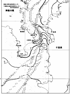 東京湾口海況図(2025/02/11)
