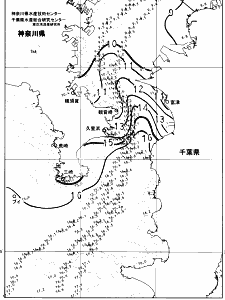 東京湾口海況図(2025/02/12)