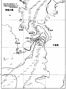 東京湾口海況図(2025/02/13)