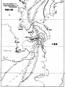 東京湾口海況図(2025/02/18)