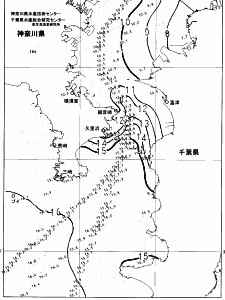 東京湾口海況図(2025/02/20)