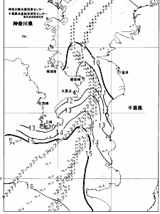 東京湾口海況図(2025/02/25)