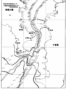 東京湾口海況図(2025/03/12)