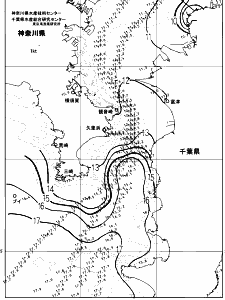 東京湾口海況図(2025/03/19)