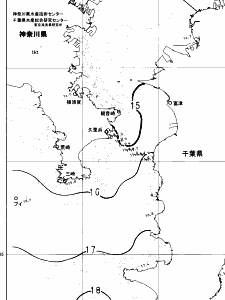 東京湾口海況図(2025/04/12)