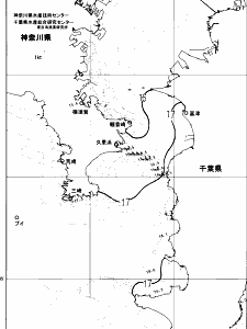 東京湾口海況図(2025/04/20)