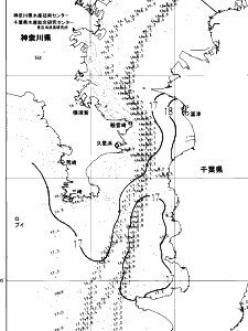 東京湾口海況図(2025/04/24)
