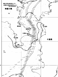 東京湾口海況図(2025/04/25)
