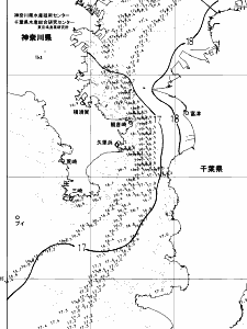 東京湾口海況図(2025/05/03)