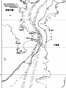 東京湾口海況図(2025/05/04)