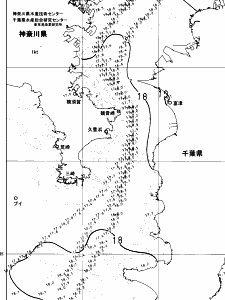 東京湾口海況図(2025/05/12)