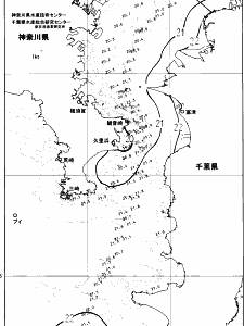 東京湾口海況図(2025/06/10)