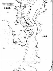 東京湾口海況図(2025/06/11)