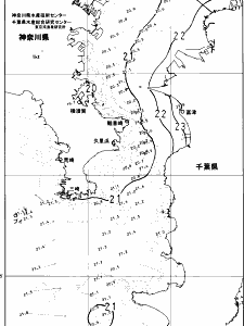 東京湾口海況図(2025/06/12)