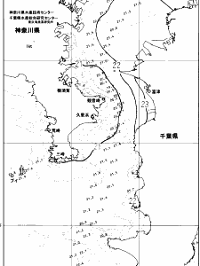 東京湾口海況図(2025/06/13)