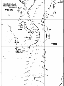東京湾口海況図(2025/06/15)