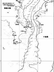 東京湾口海況図(2025/06/17)