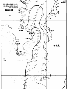 東京湾口海況図(2025/06/18)