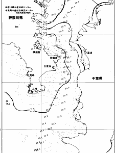 東京湾口海況図(2025/06/19)