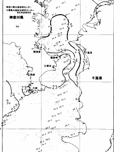 東京湾口海況図(2025/06/20)
