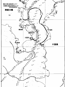 東京湾口海況図(2025/06/28)