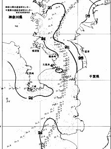 東京湾口海況図(2025/07/01)