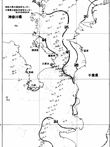 東京湾口海況図(2025/07/02)