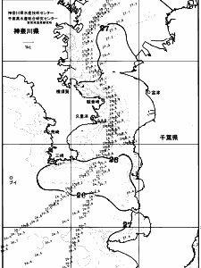 東京湾口海況図(2025/08/03)