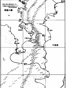 東京湾口海況図(2025/08/04)