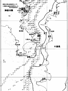 東京湾口海況図(2025/08/06)